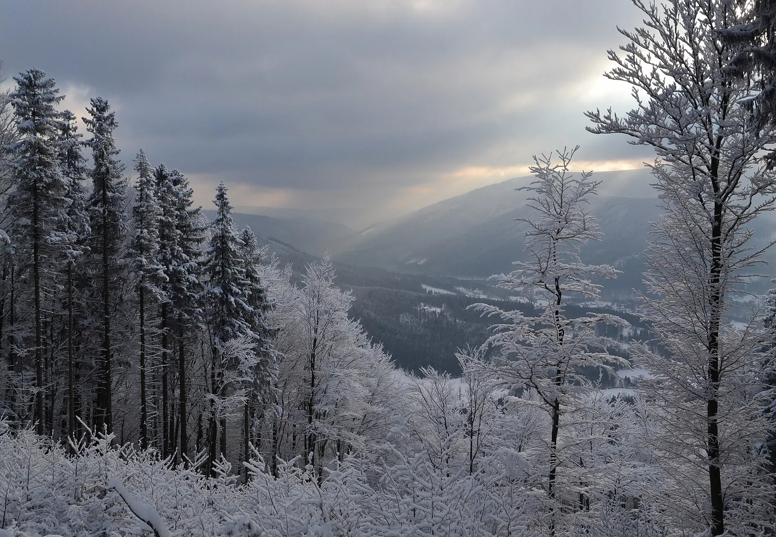 Moravian–Silesian Beskids, Czech Republic/Slovakia, winter 2014