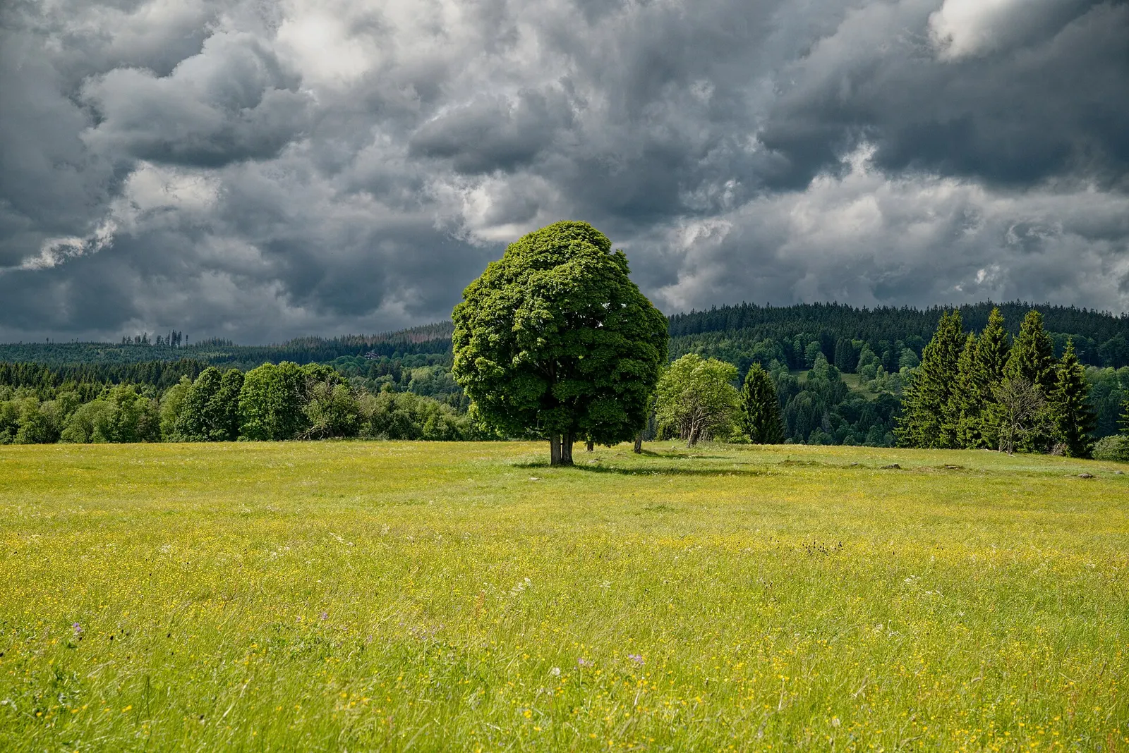 Atmosféra těsně před bouřkou.